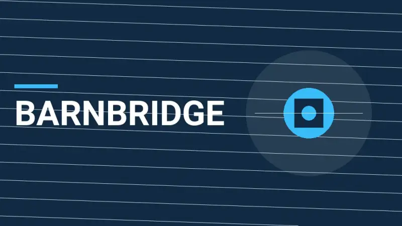 BarnBridge