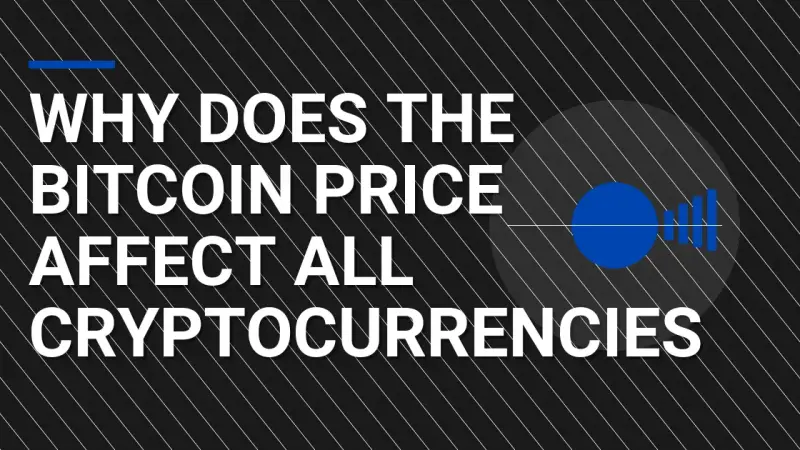 Why Does the Bitcoin Price Affect All Cryptocurrencies