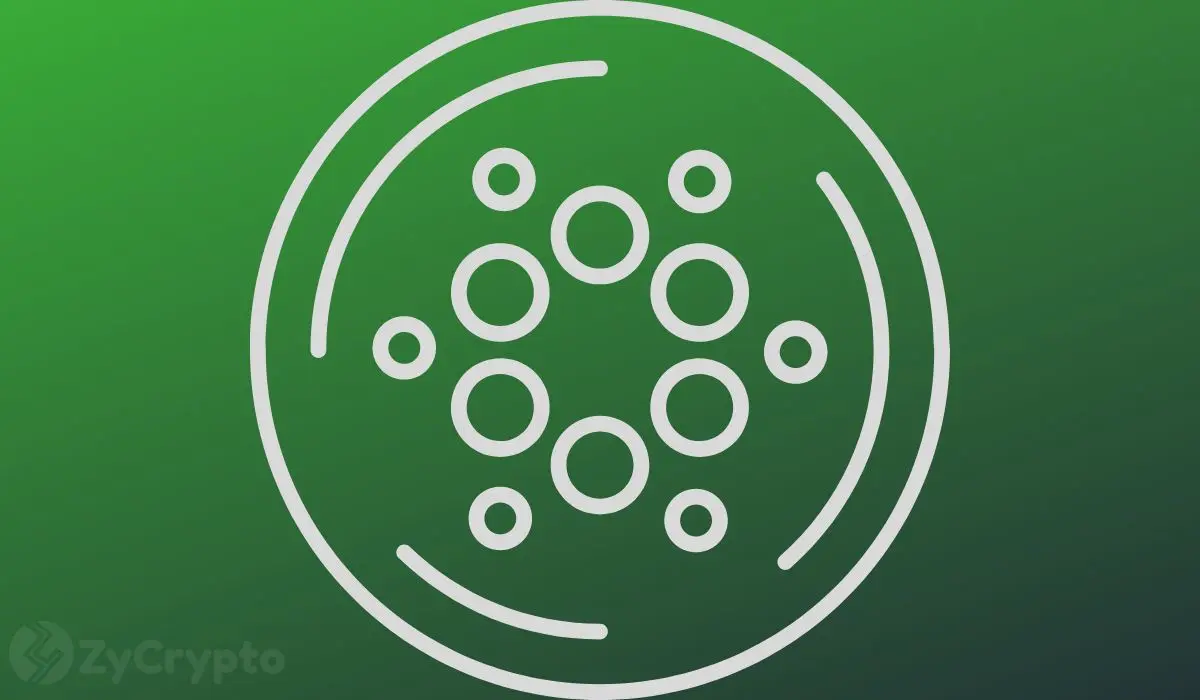 Hoskinson Confirms Cardano’s Strong Fundamentals Ahead of Historic Network Upgrade