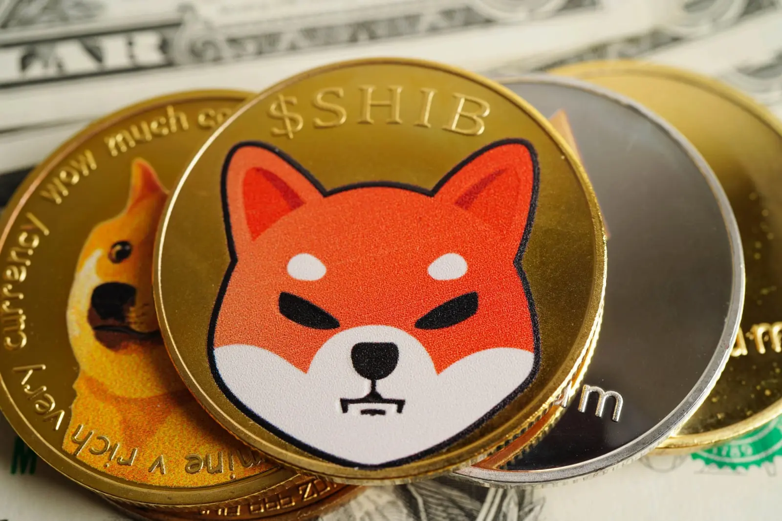 Japanese Tech Giant Rakuten Creates First-Ever Tactile Shiba Inu (SHIB) Coin for 44 Million Users