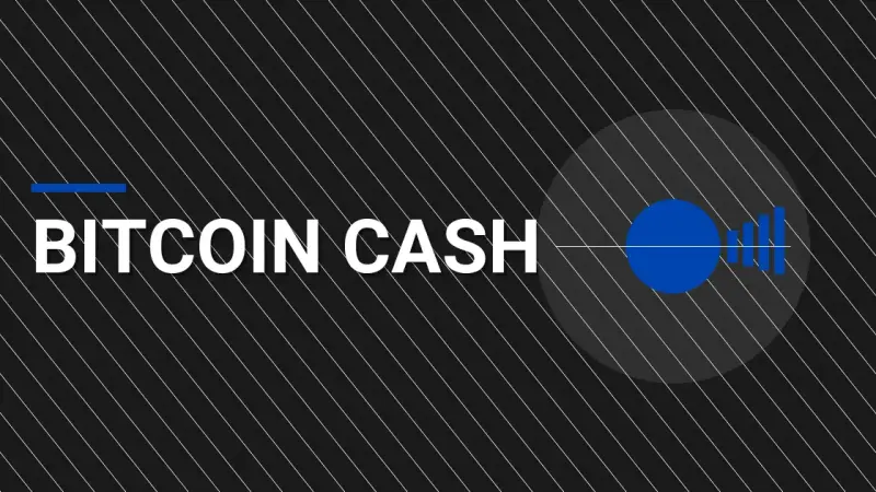 Bitcoin Cash