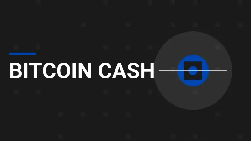 Bitcoin Cash