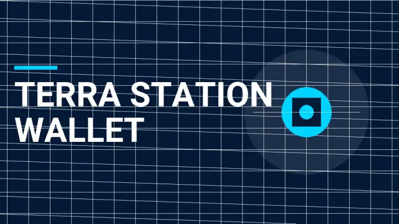 Terra Station Wallet