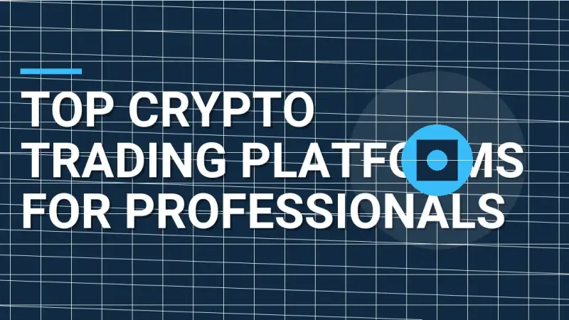 Top Crypto Trading Platforms for Professionals