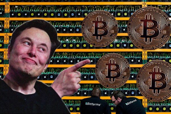 Bitcoin Family